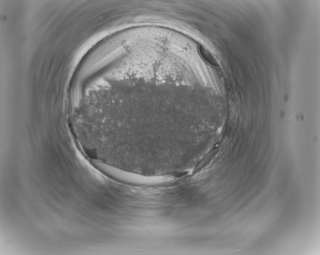 X0000087681527200706011641