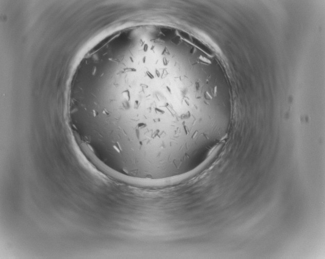 X0000087681528200706011641