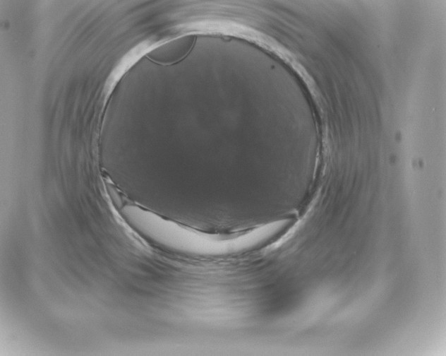 X0000087681529200706011641