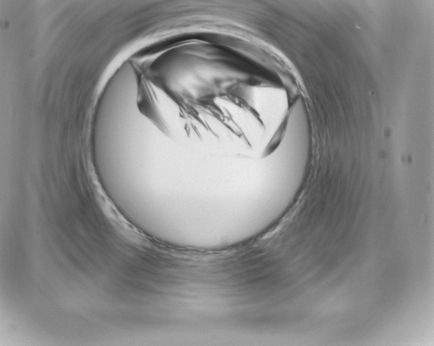 X0000087681530200706011641