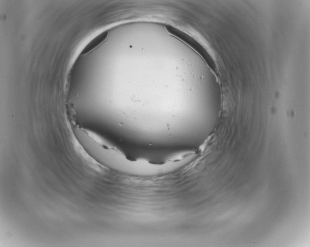 X0000087681532200706011641