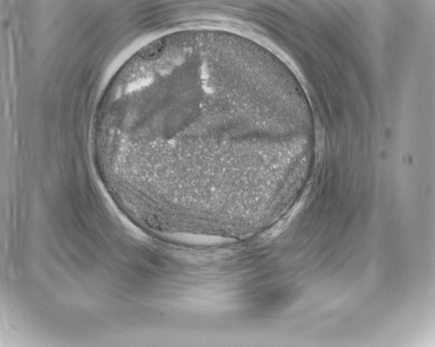 X0000087681533200706011641