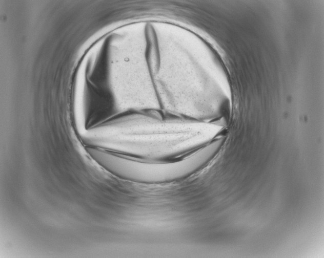 X0000087681534200706011641