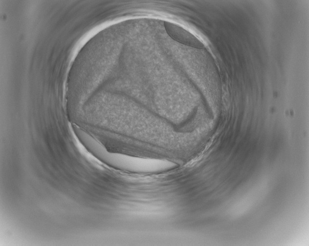 X0000087681535200706011641