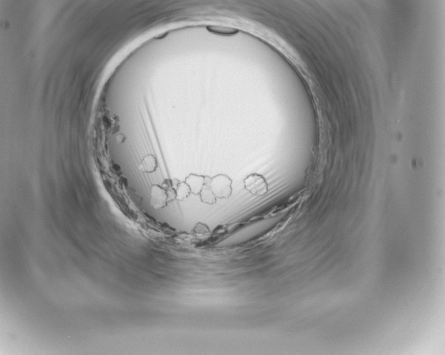 X0000087681536200706011641