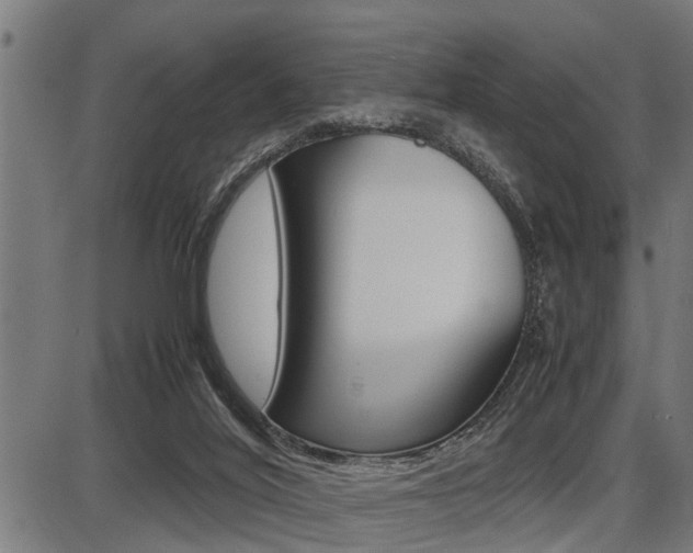 X0000087690020200705040833