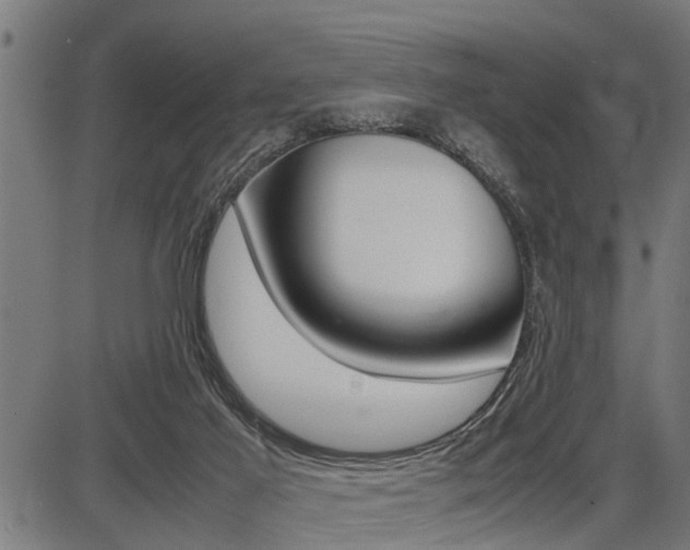 X0000087690021200705040833