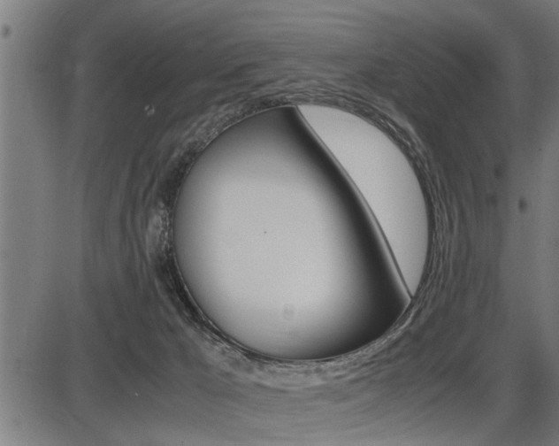 X0000087690029200705040832