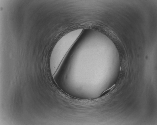 X0000087690037200705040832