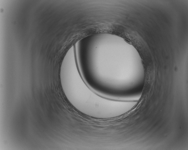 X0000087690041200705040832