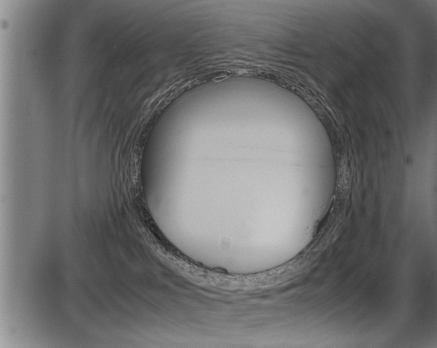 X0000087690043200705040832