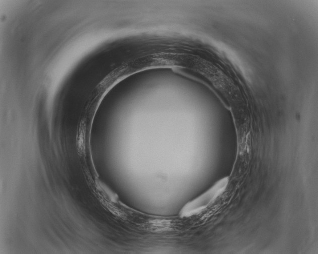 X0000087690052200705040831