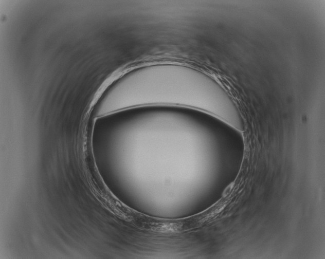 X0000087690056200705040831