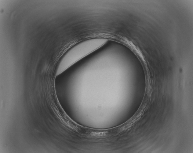 X0000087690057200705040831