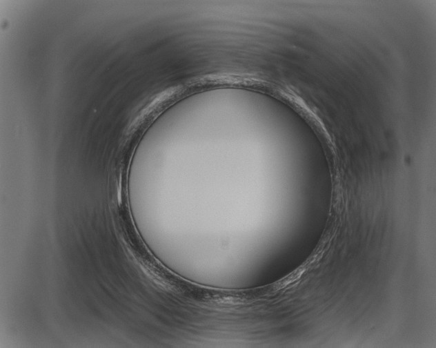 X0000087690062200705040832