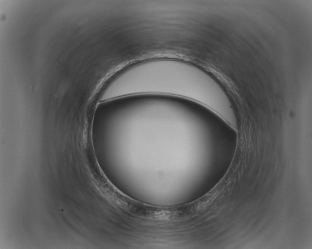 X0000087690064200705040832
