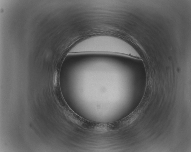 X0000087690076200705040832