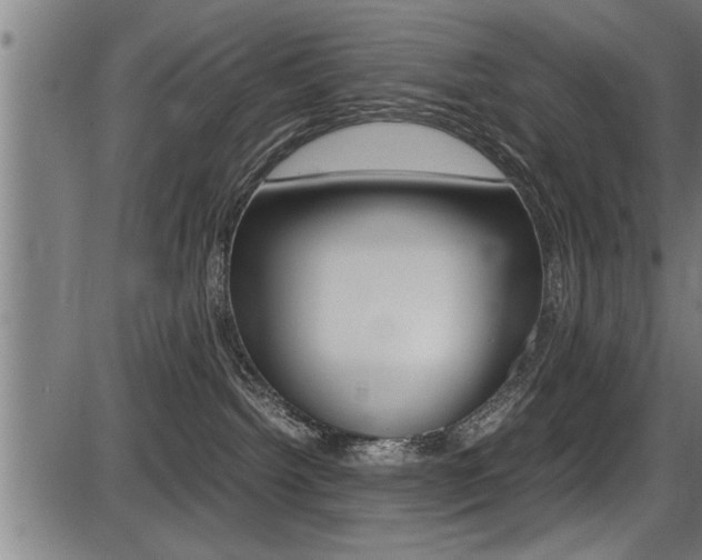 X0000087690092200705040832