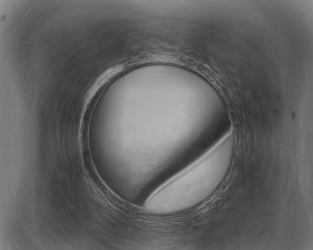 X0000087690104200705040831