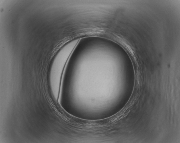 X0000087690105200705040831