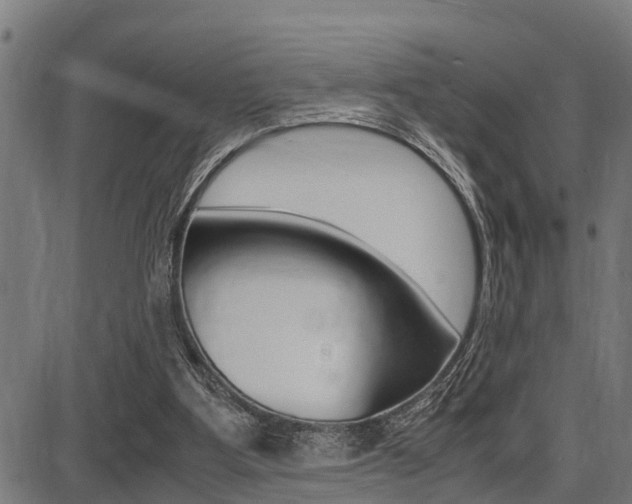 X0000087690107200705040831