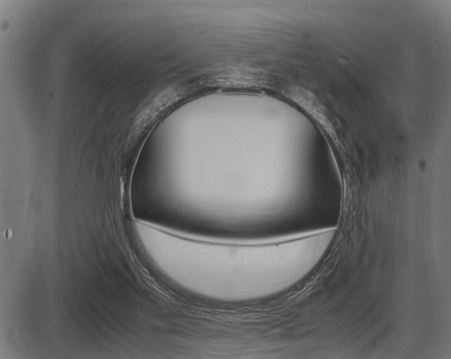 X0000087690109200705040831