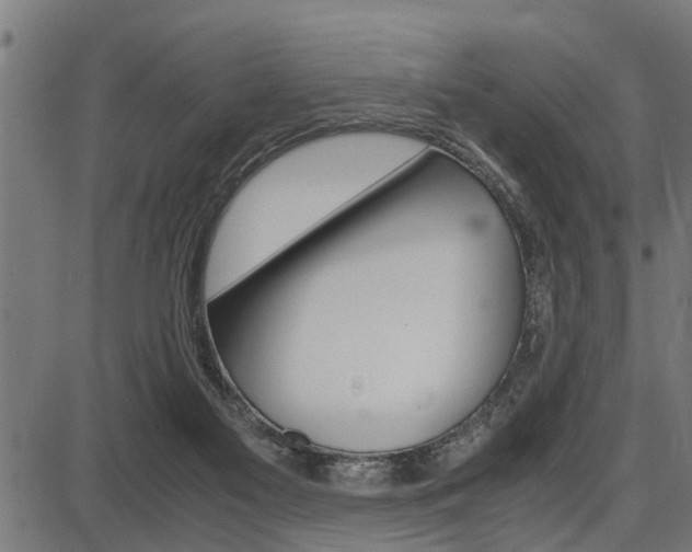 X0000087690117200705040831