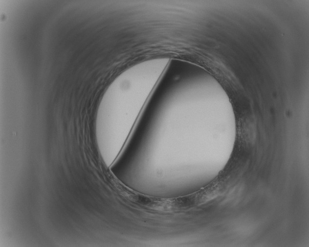 X0000087690127200705040831