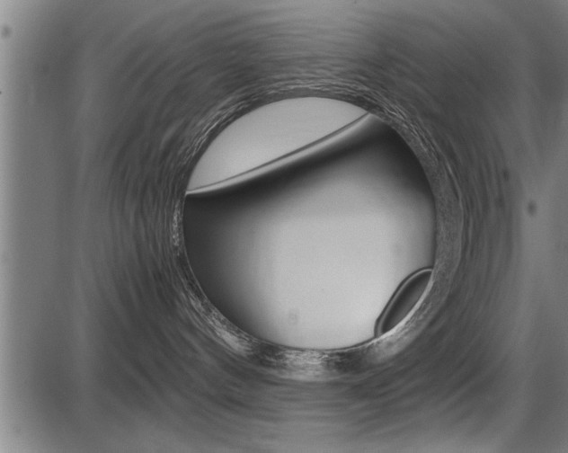 X0000087690144200705040831