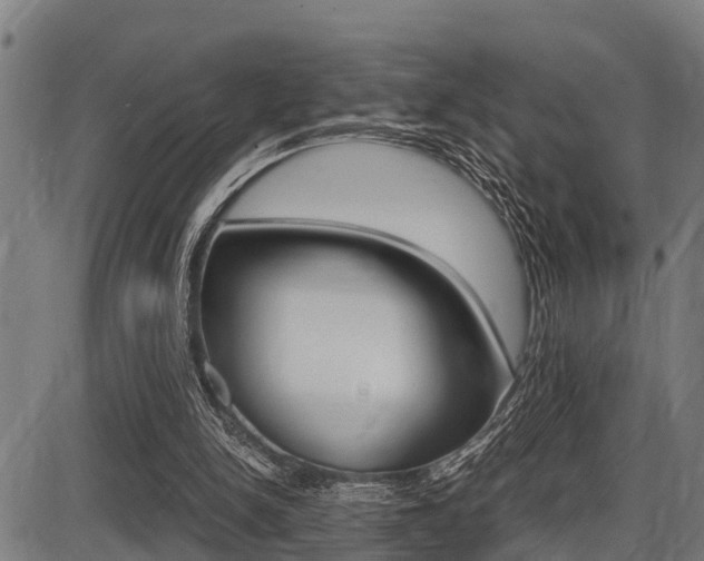 X0000087690150200705040830