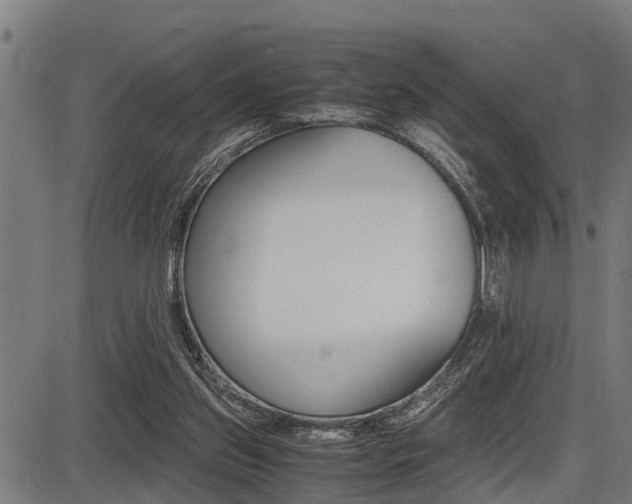 X0000087690157200705040830