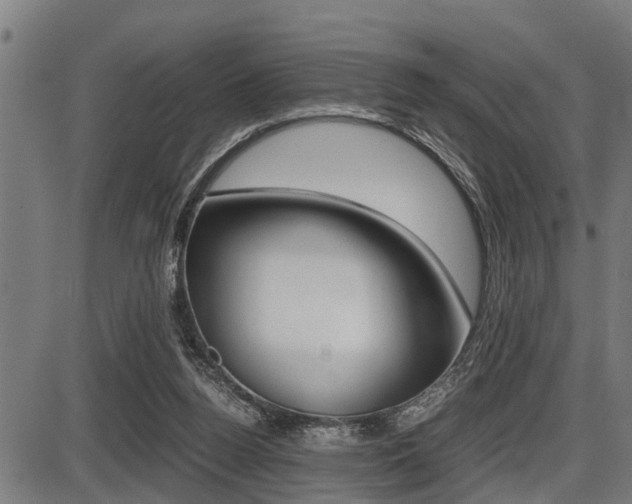 X0000087690160200705040830
