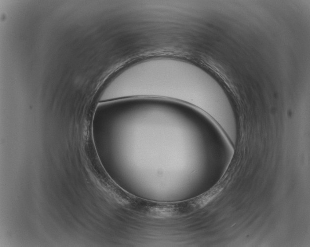 X0000087690164200705040830