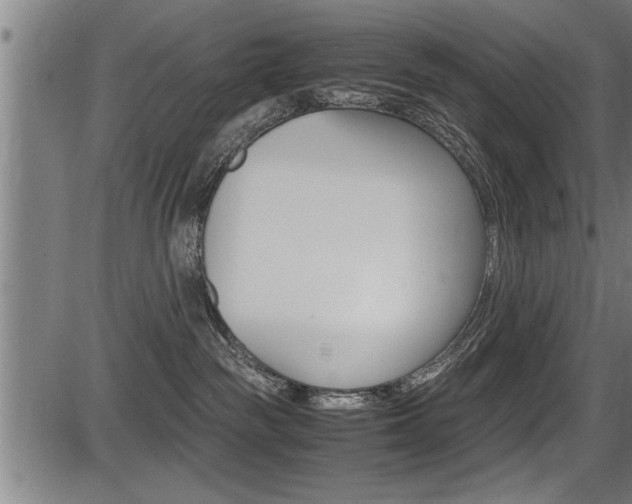 X0000087690189200705040830