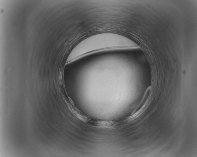 X0000087690192200705040831