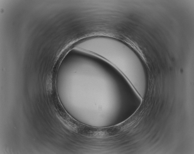 X0000087690204200705040830