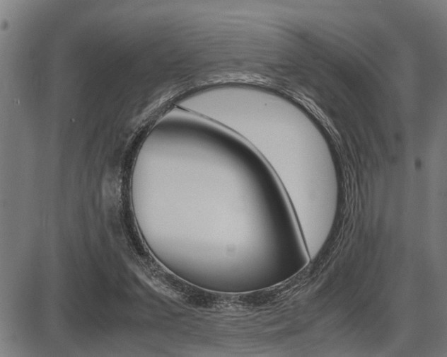 X0000087690207200705040830