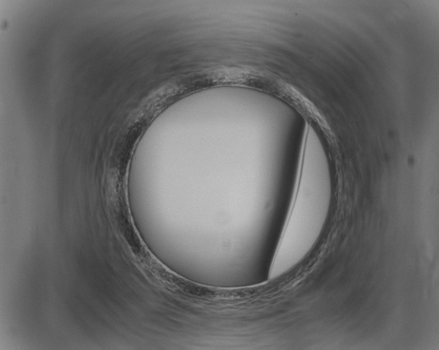 X0000087690209200705040829