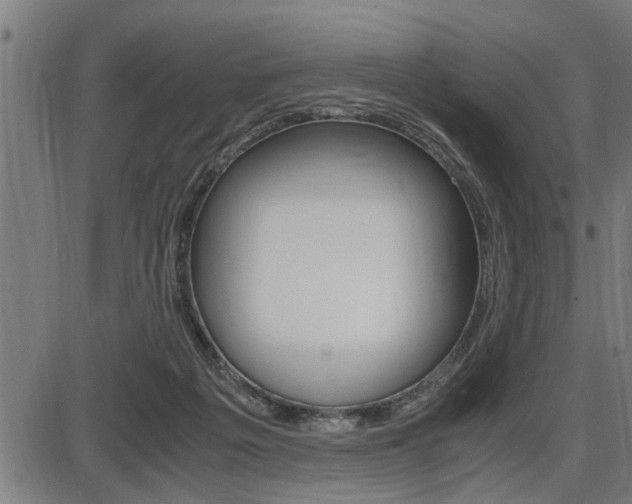 X0000087690217200705040829