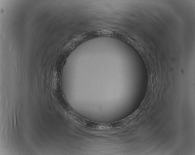 X0000087690223200705040829