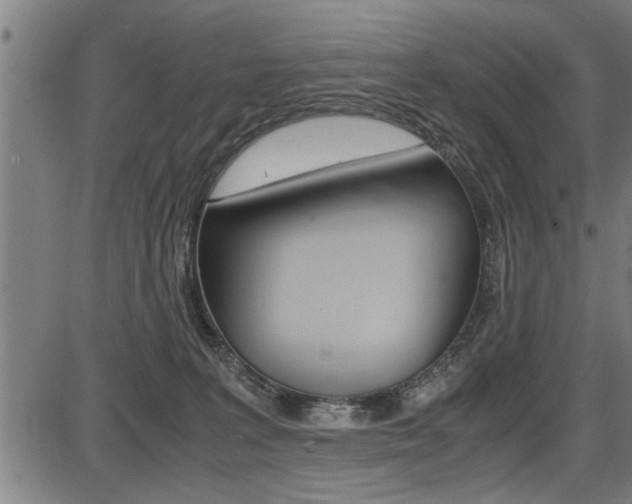 X0000087690227200705040829