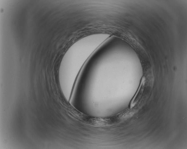 X0000087690229200705040829