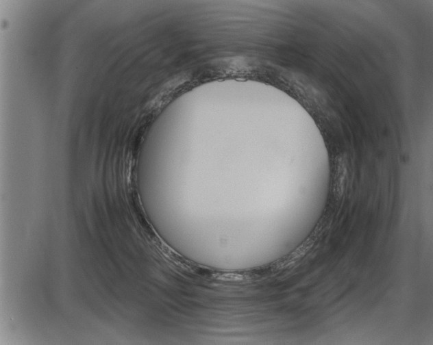X0000087690230200705040829