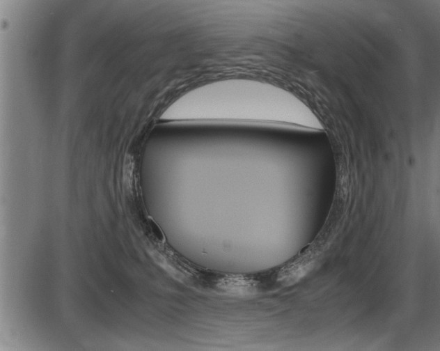 X0000087690231200705040829