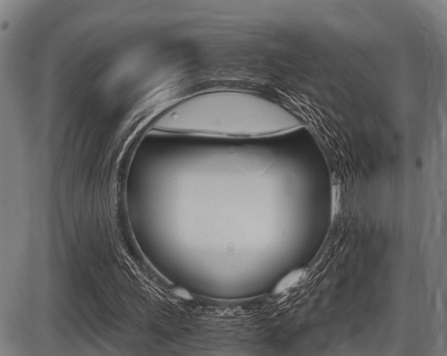 X0000087690243200705040828