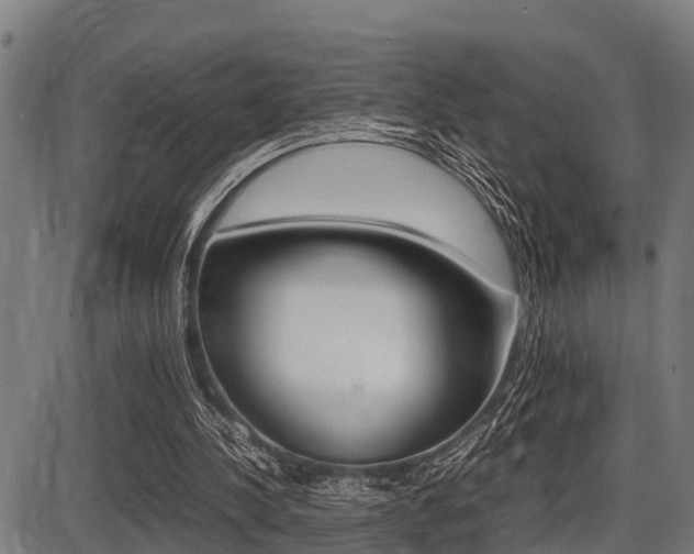 X0000087690244200705040828