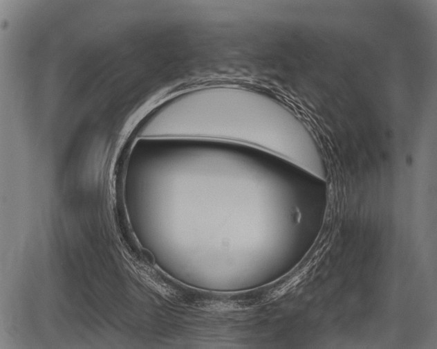 X0000087690246200705040828