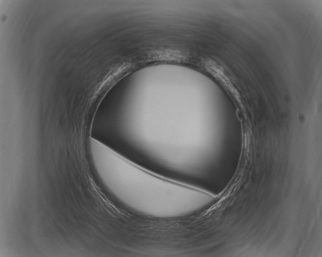 X0000087690249200705040828