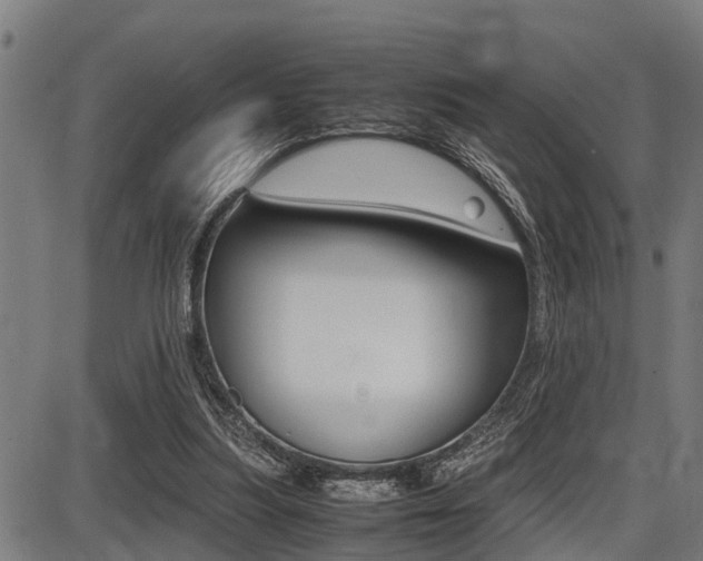 X0000087690251200705040828