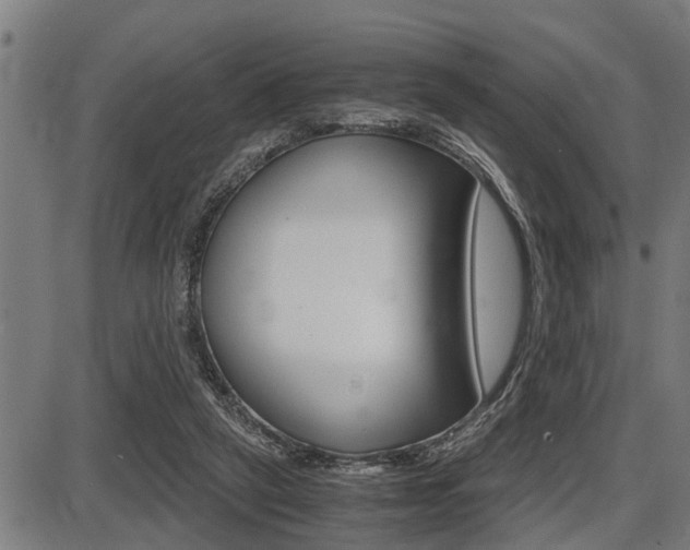 X0000087690257200705040828